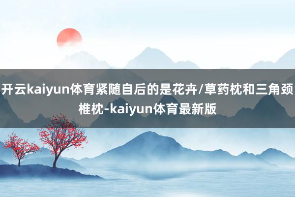 开云kaiyun体育紧随自后的是花卉/草药枕和三角颈椎枕-kaiyun体育最新版