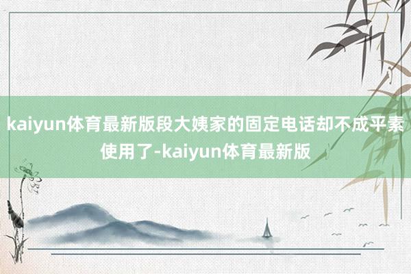 kaiyun体育最新版段大姨家的固定电话却不成平素使用了-kaiyun体育最新版