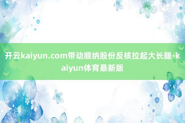 开云kaiyun.com带动顺纳股份反核拉起大长腿-kaiyun体育最新版