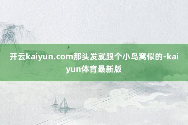 开云kaiyun.com那头发就跟个小鸟窝似的-kaiyun体育最新版