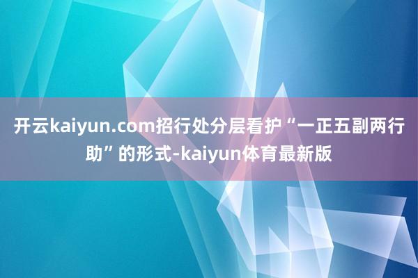 开云kaiyun.com招行处分层看护“一正五副两行助”的形式-kaiyun体育最新版